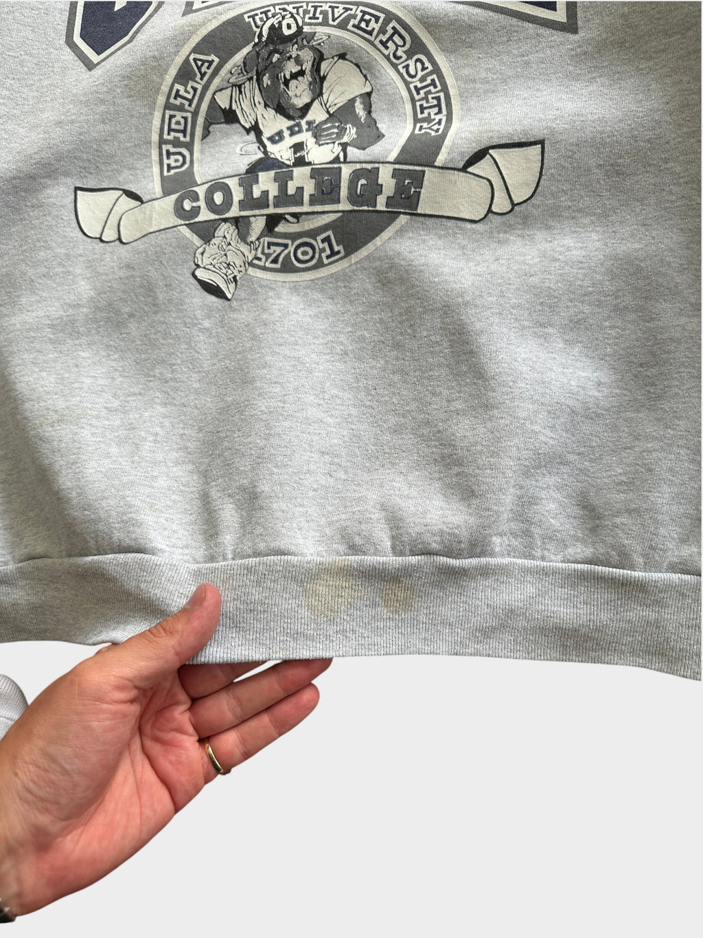 Vintage UCLA Crewneck Sweatshirt (L)