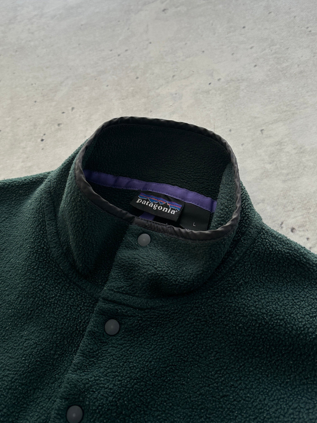00's Patagonia Synchilla Pullover Fleece (L)